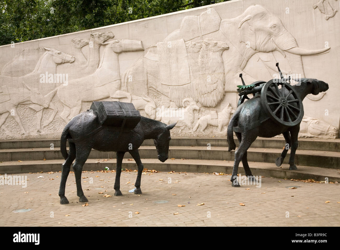 Die Tiere im Krieg-Denkmal, gewidmet dem Andenken an den Tieren, die in Kriegen, in London, England serviert. Stockfoto