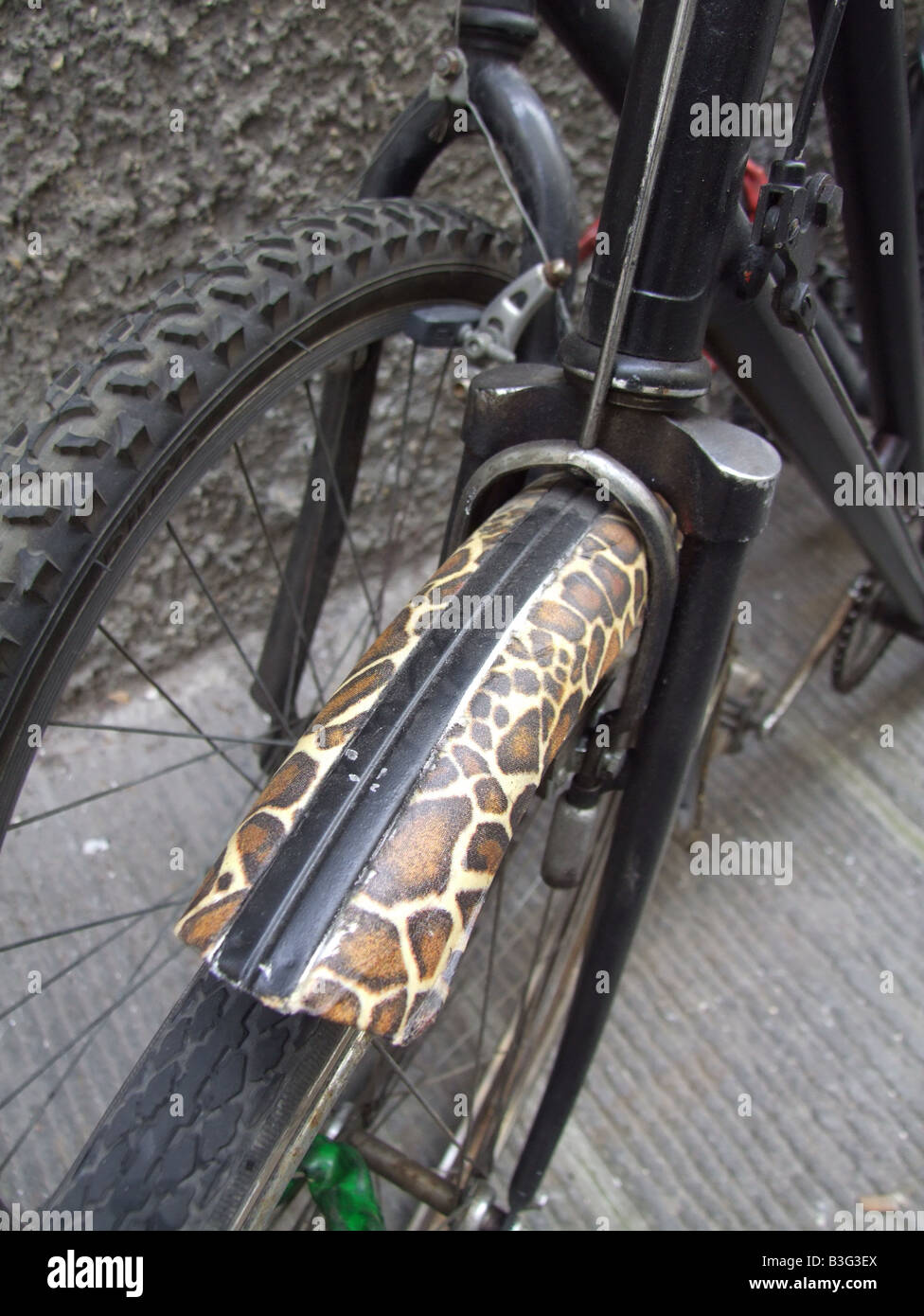 Leopard-Haut-Design auf Fahrrad Schutzblech Stockfotografie - Alamy