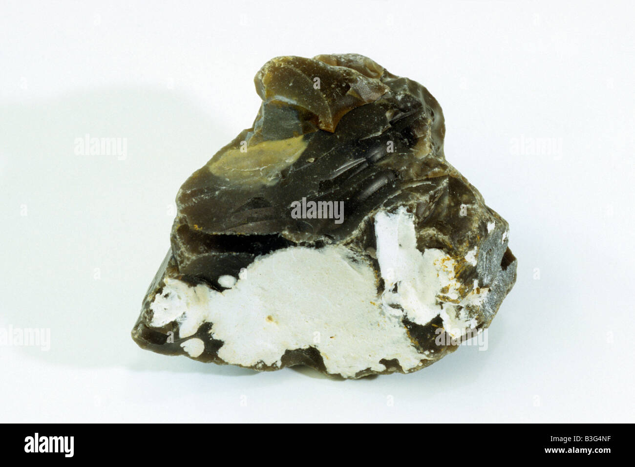 Feuerstein, Feuerstein Knötchen, Studio Bild Stockfoto