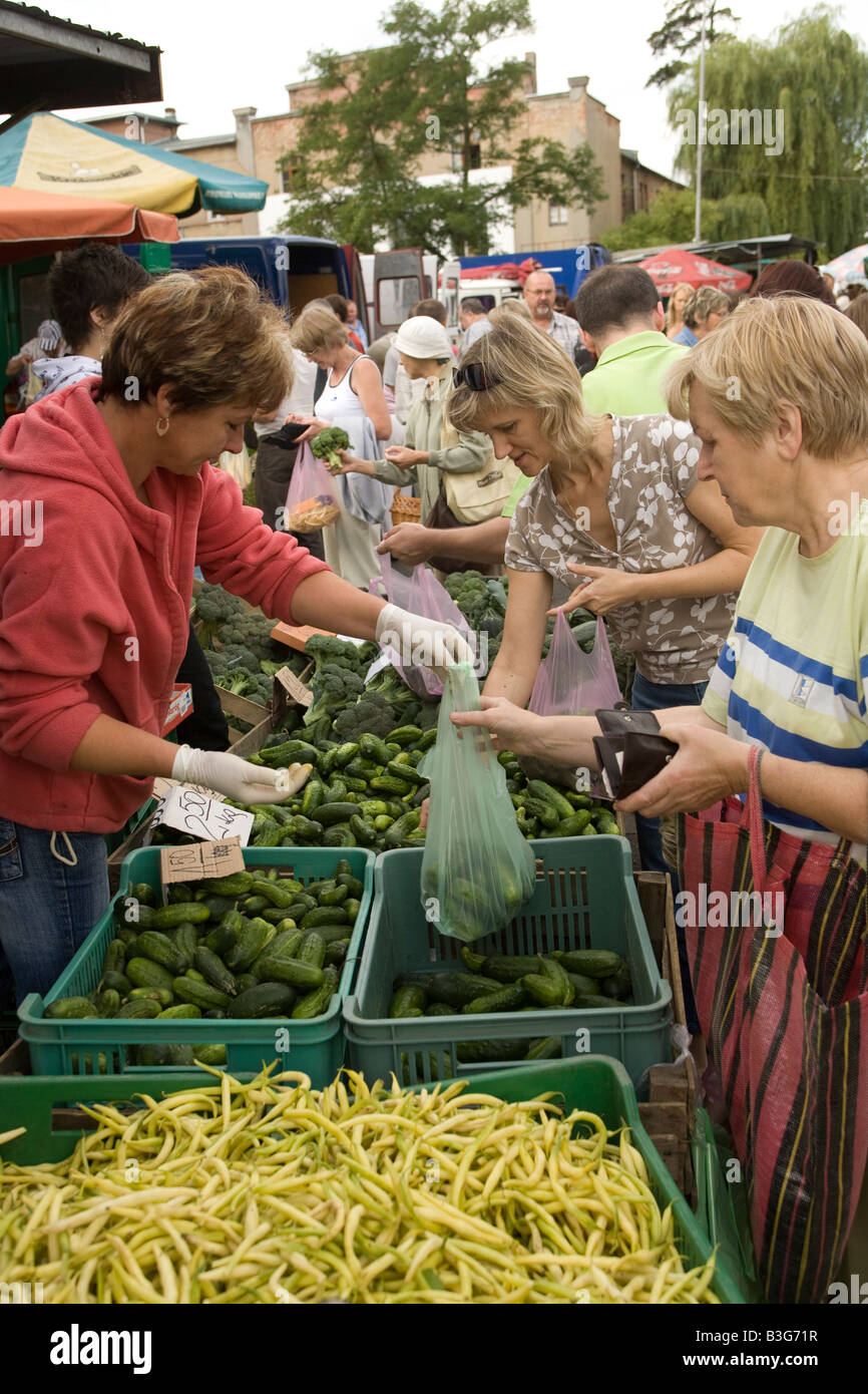 Bauernmarkt, Zielona Gora, Polen Stockfoto