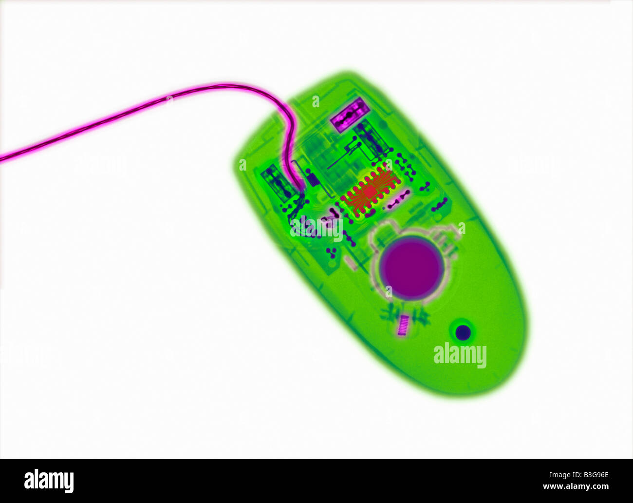 x-ray von einer Computer-Maus zeigt ihre interne Struktur Stockfoto