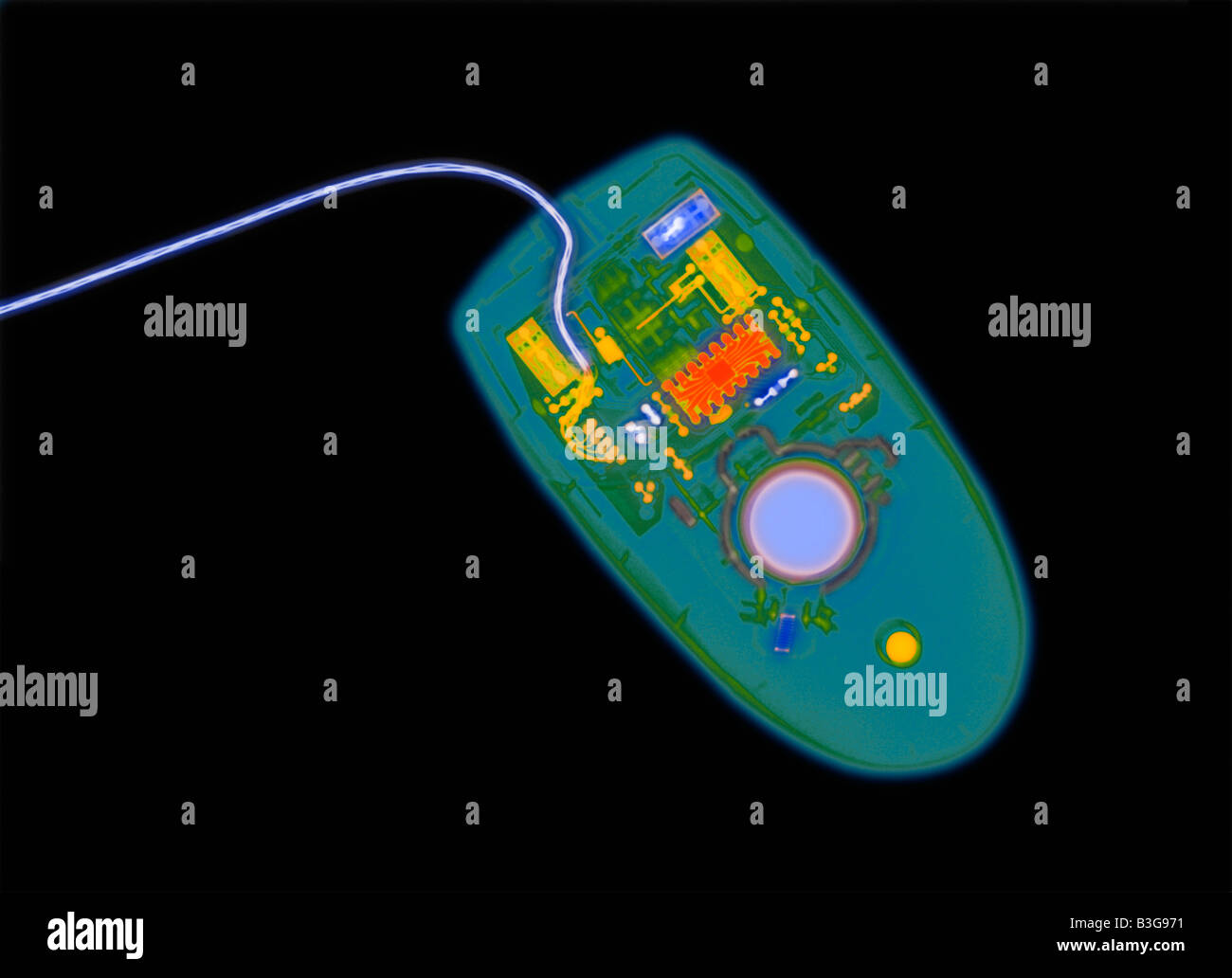 x-ray von einer Computer-Maus zeigt ihre interne Struktur Stockfoto