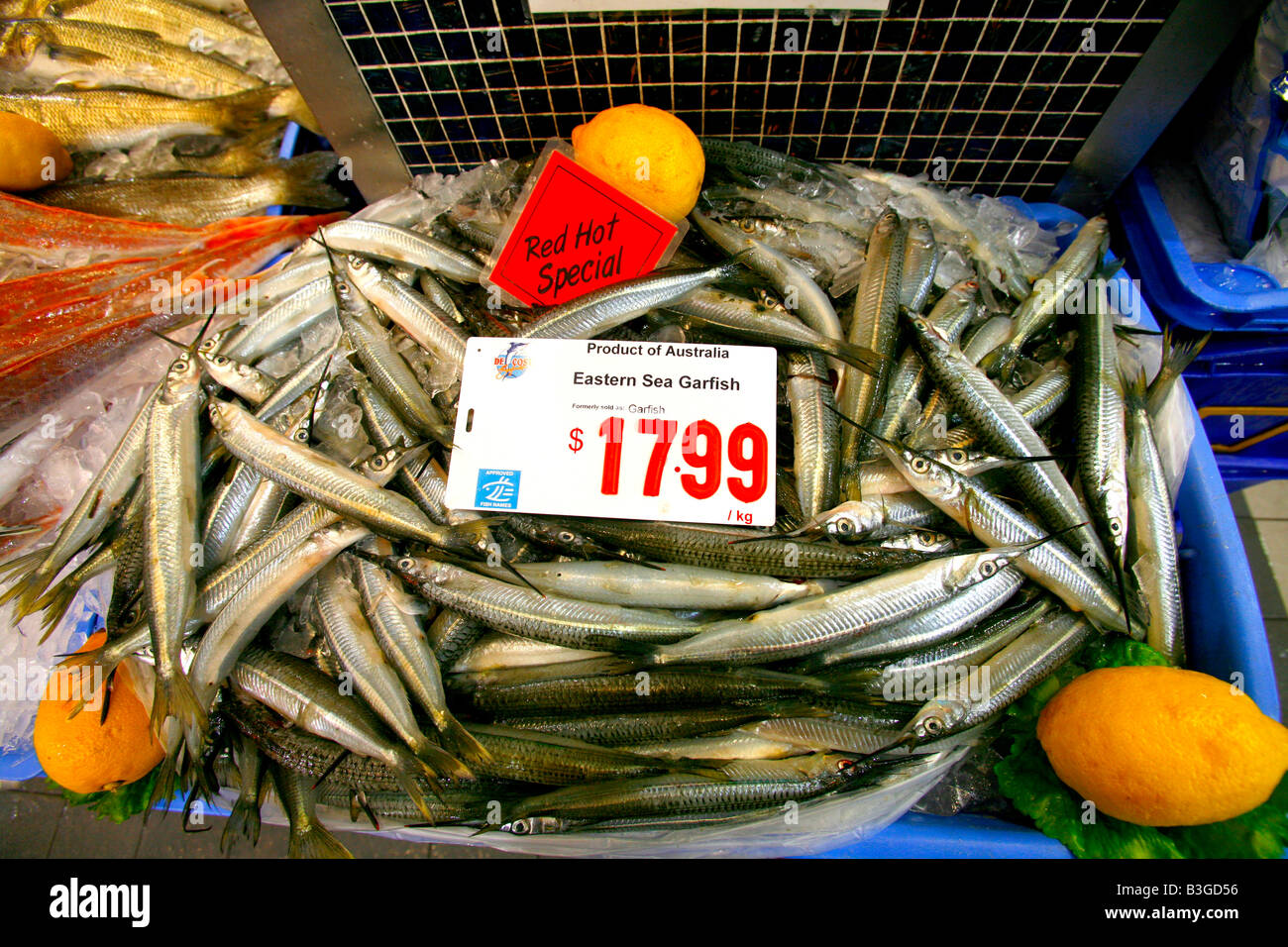 Hornhecht im Sydney Fish Market Stockfoto