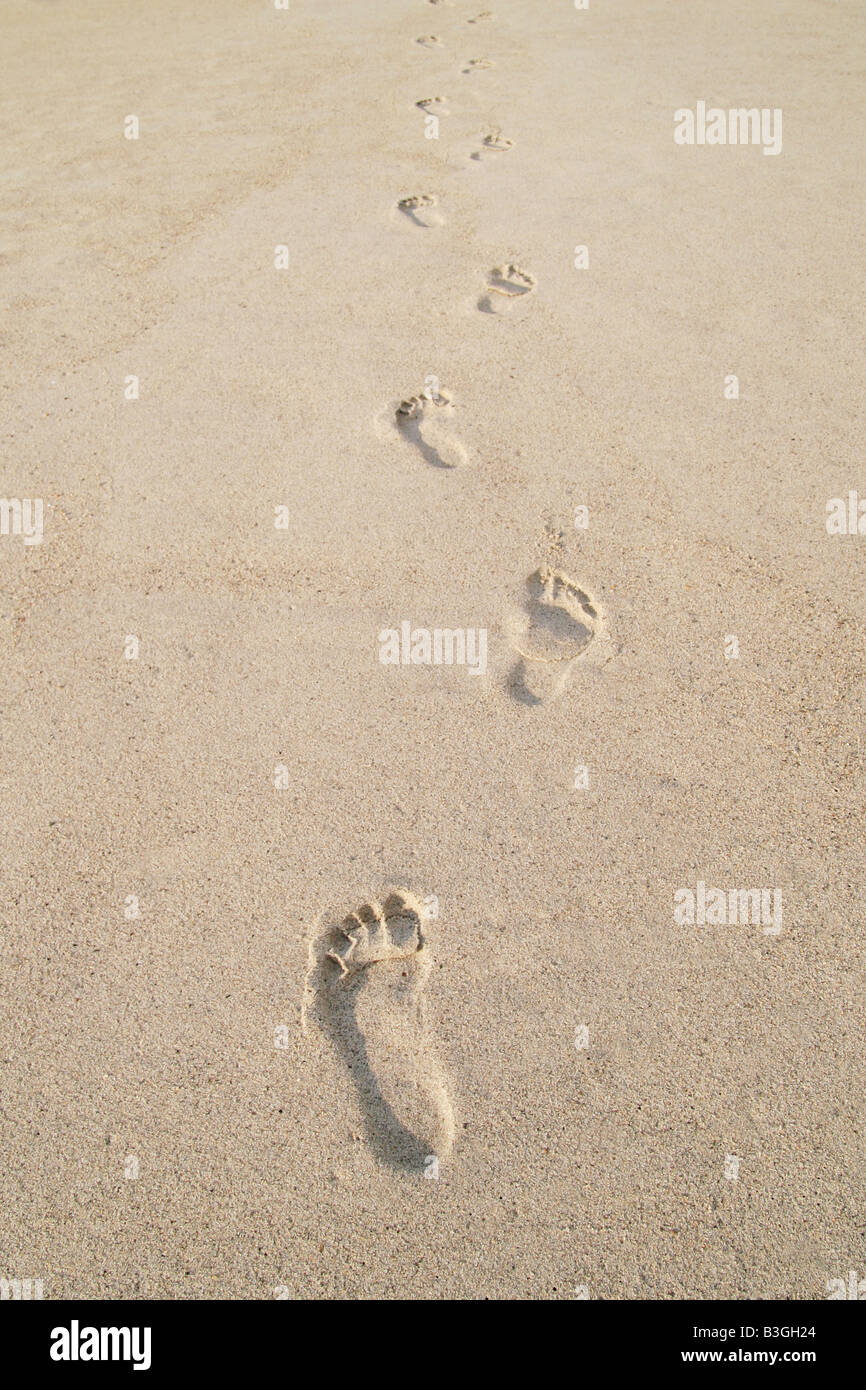 Fußabdrücke im sand -Fotos und -Bildmaterial in hoher Auflösung – Alamy