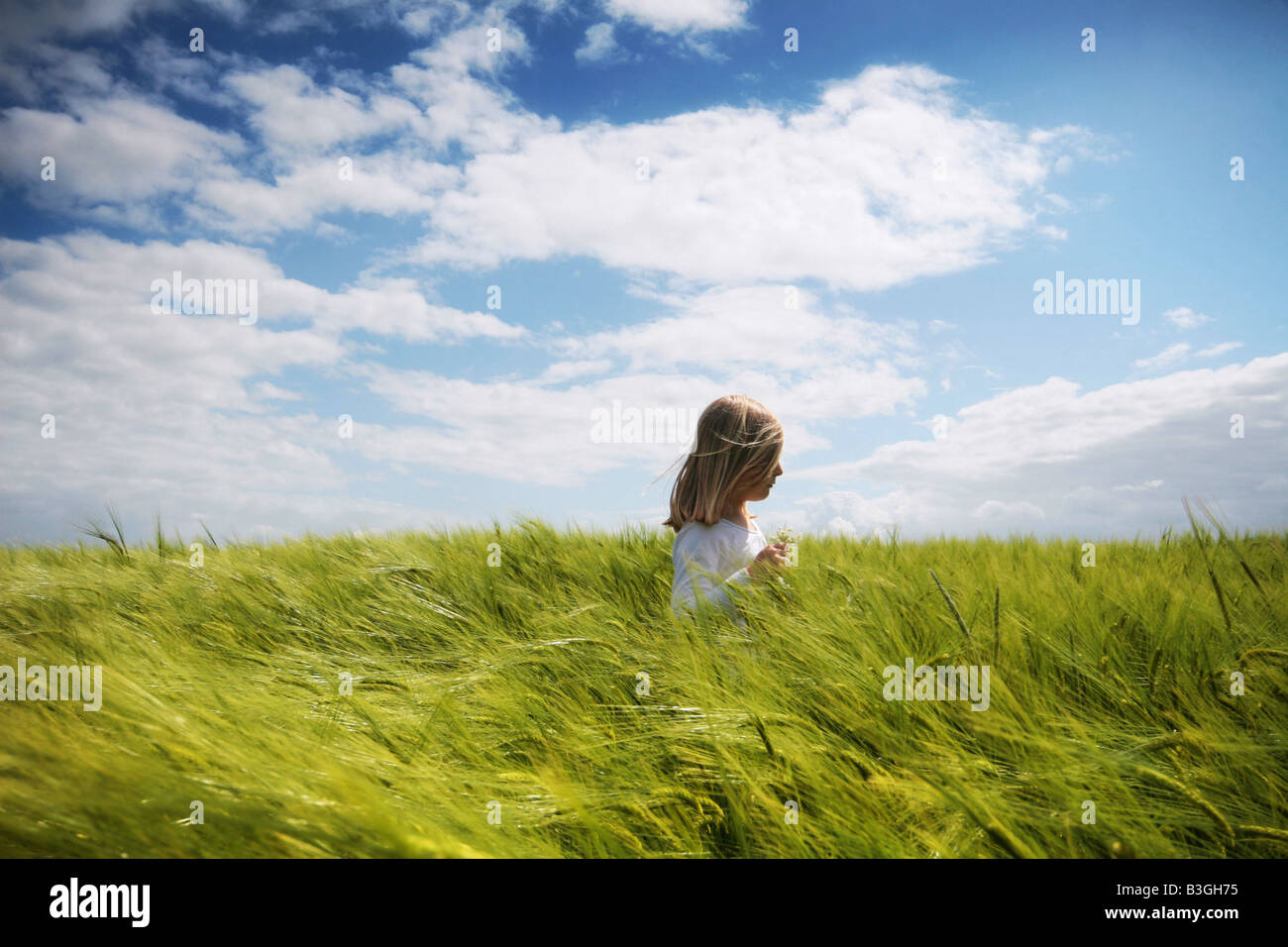 junges Mädchen in ein Gerstenfeld Stockfoto