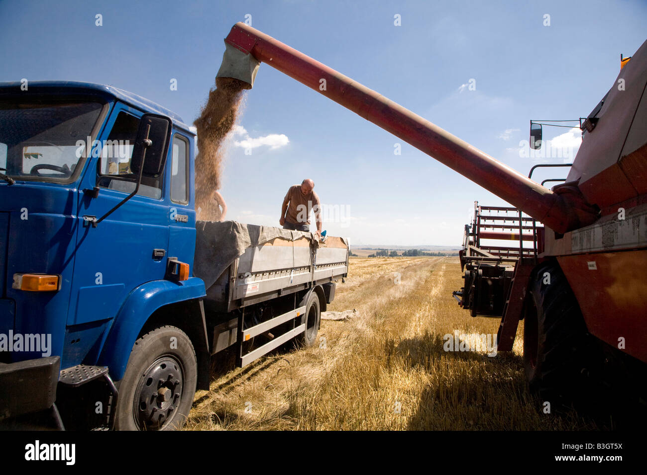 Individuelle landwirtschaft -Fotos und -Bildmaterial in hoher Auflösung
