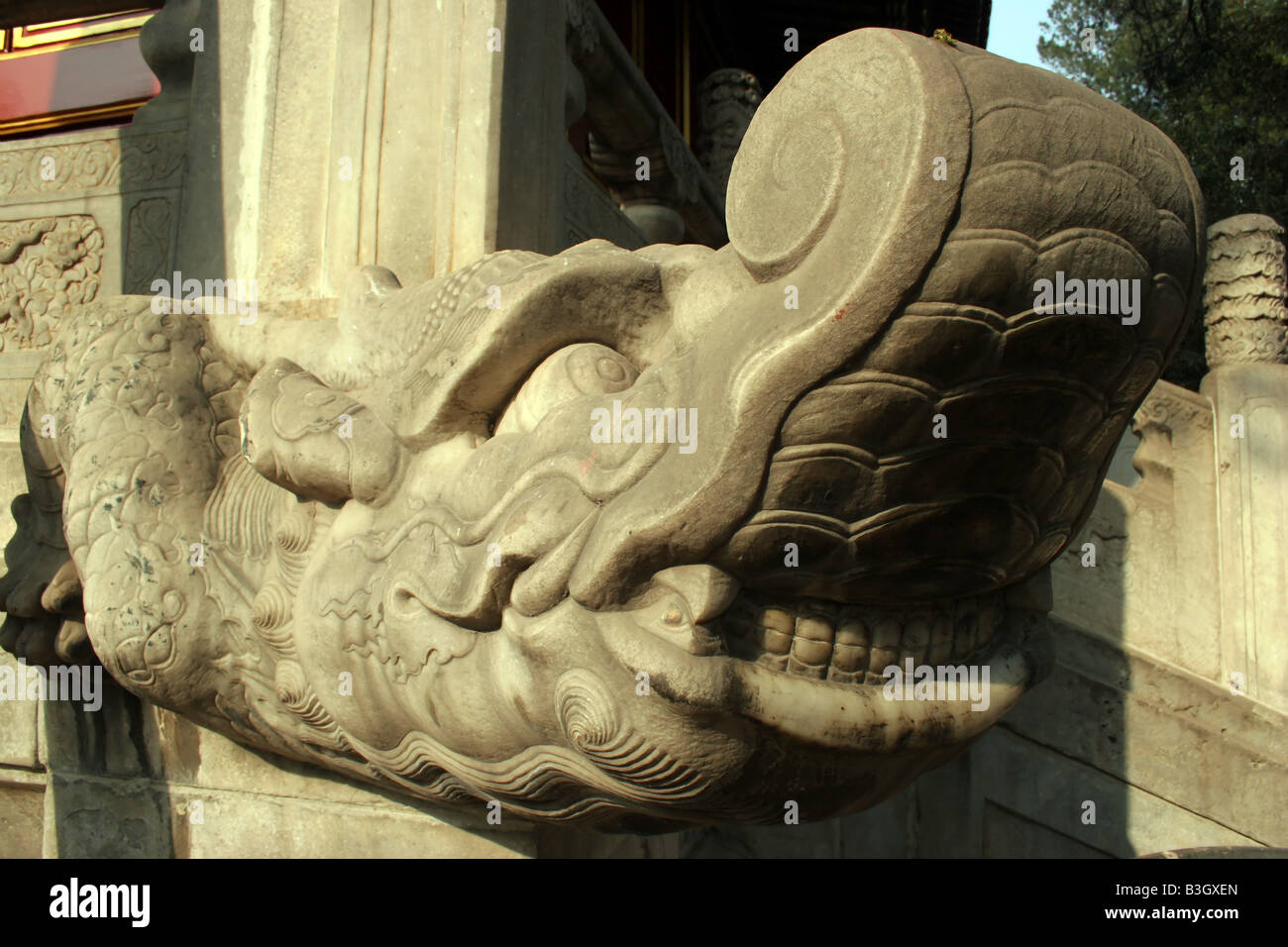 Details zu einem Drachen Gesicht geschnitzt in Stein in der verbotenen Stadt, Peking, China. Stockfoto