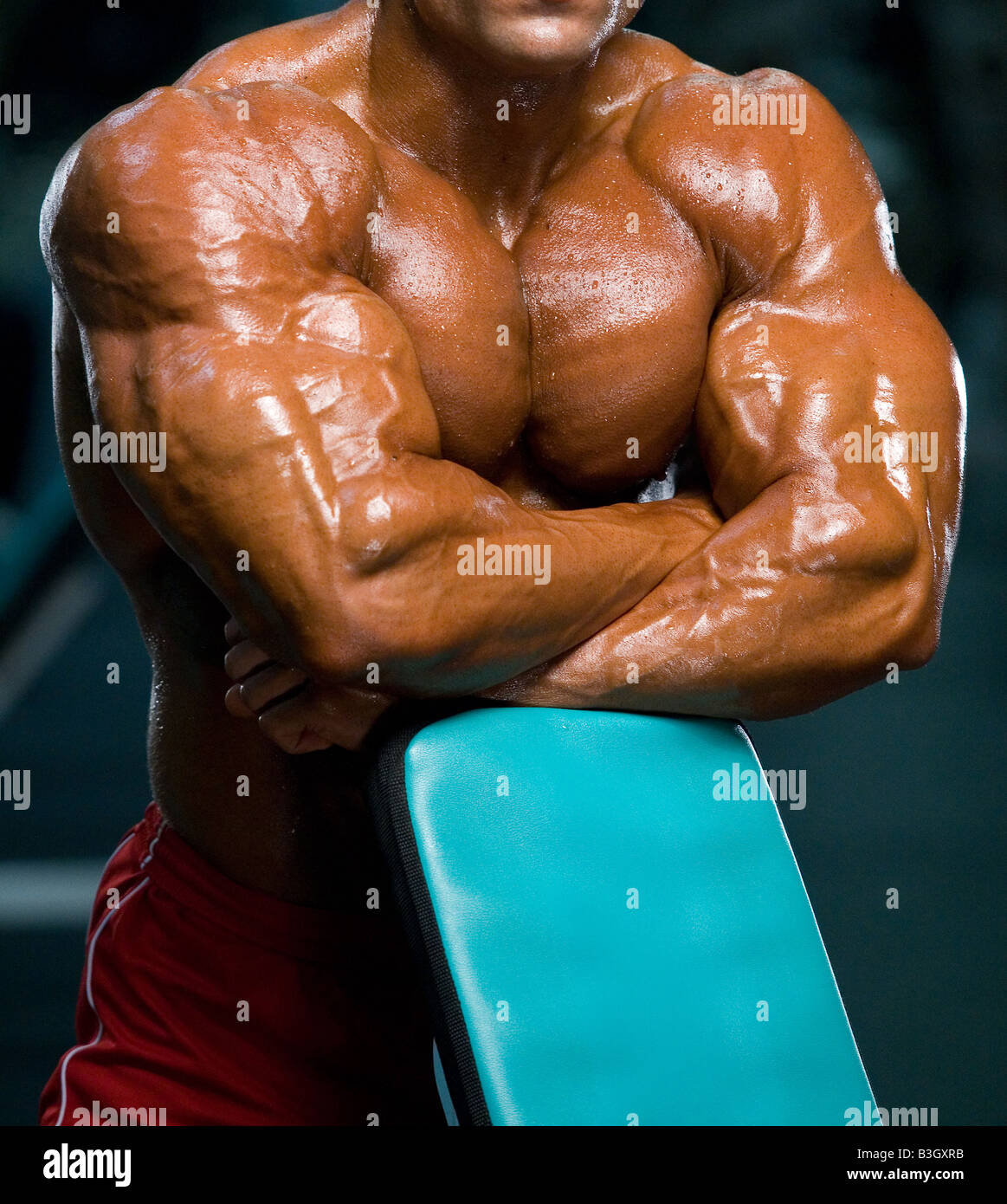 Top 5 Bücher über steroide bodybuilding kaufen