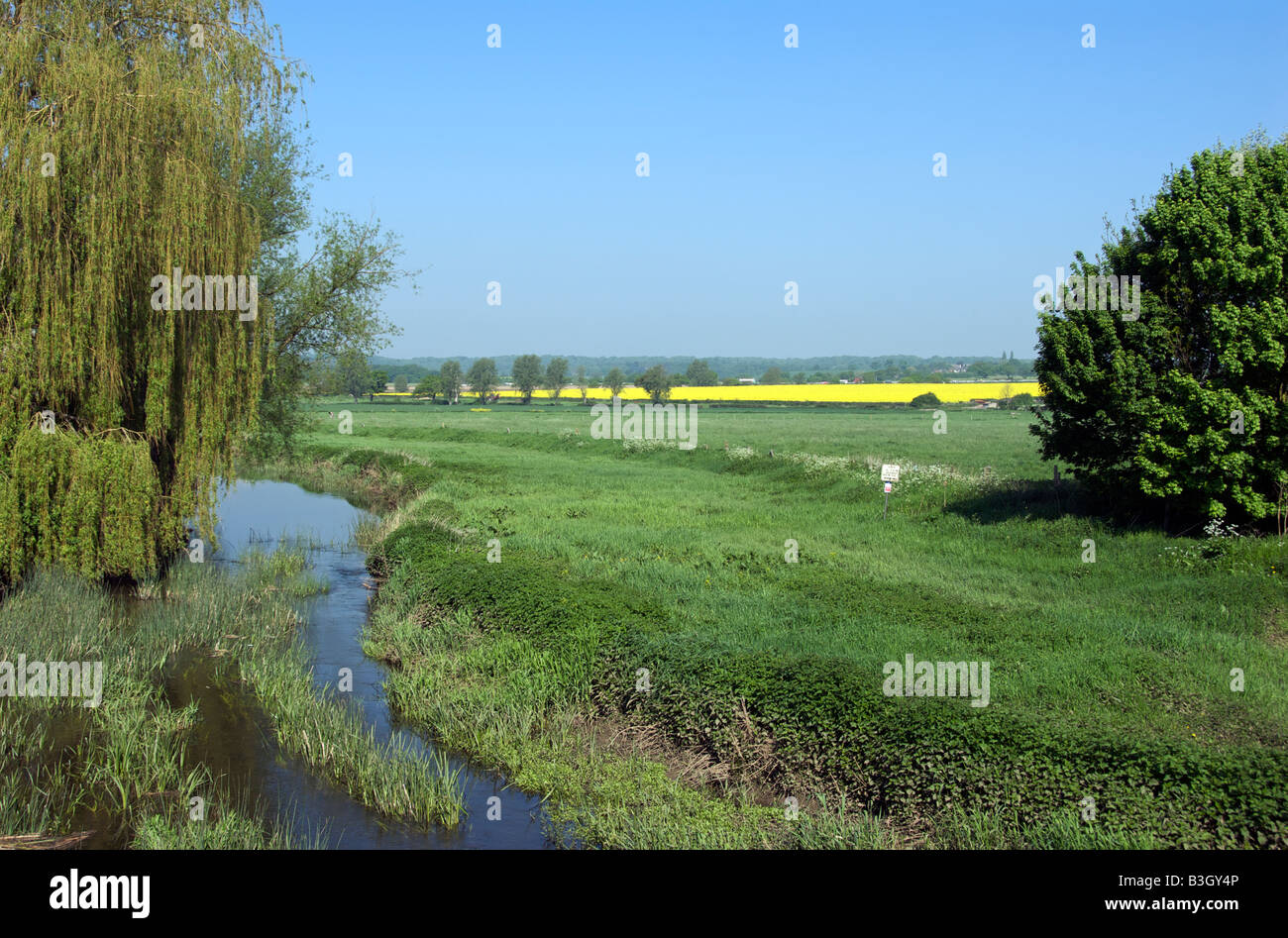 Roding-Fluss und Landschaft kürzen Essex England Stockfoto