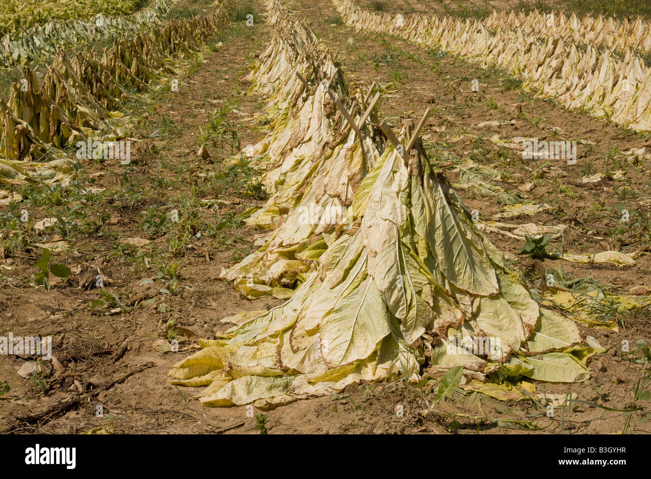 Pennsylvania farmen Fotos und Bildmaterial in hoher Auflösung Alamy