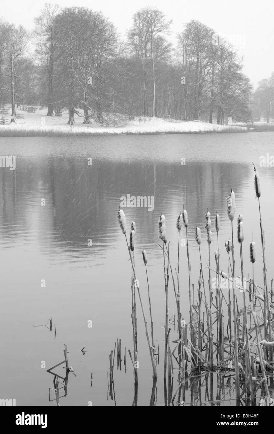 Ein See in den Schnee in Norfolk an einem kalten Wintern Morgen Stockfoto