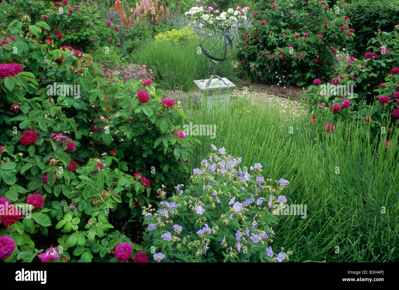 Rose Garten Sonnenuhr auf Sockel Blumen Pflanzen Rasen design Stockfoto