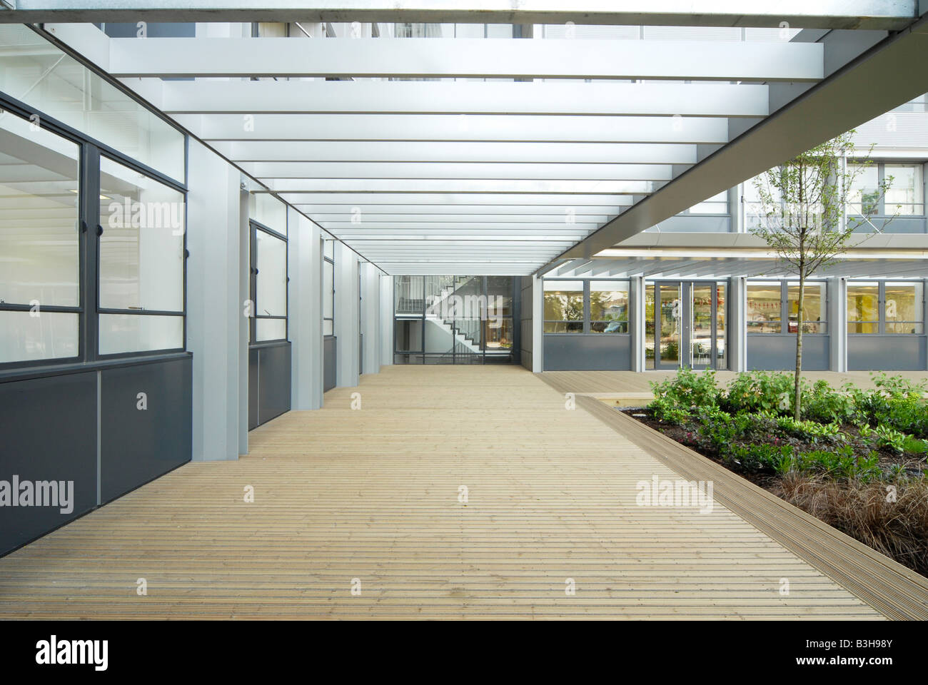 Neue Office-Entwicklung Stockfoto