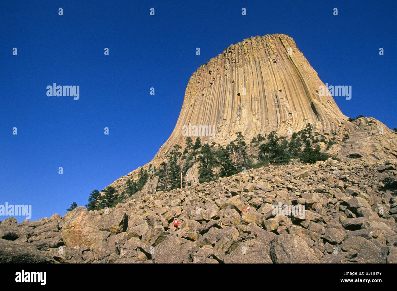 Eine Ansicht der Teufel s Tower National Monument im östlichen Wyoming Devils Tower überragt der Belle Fourche River 1267 Füße Stockfoto