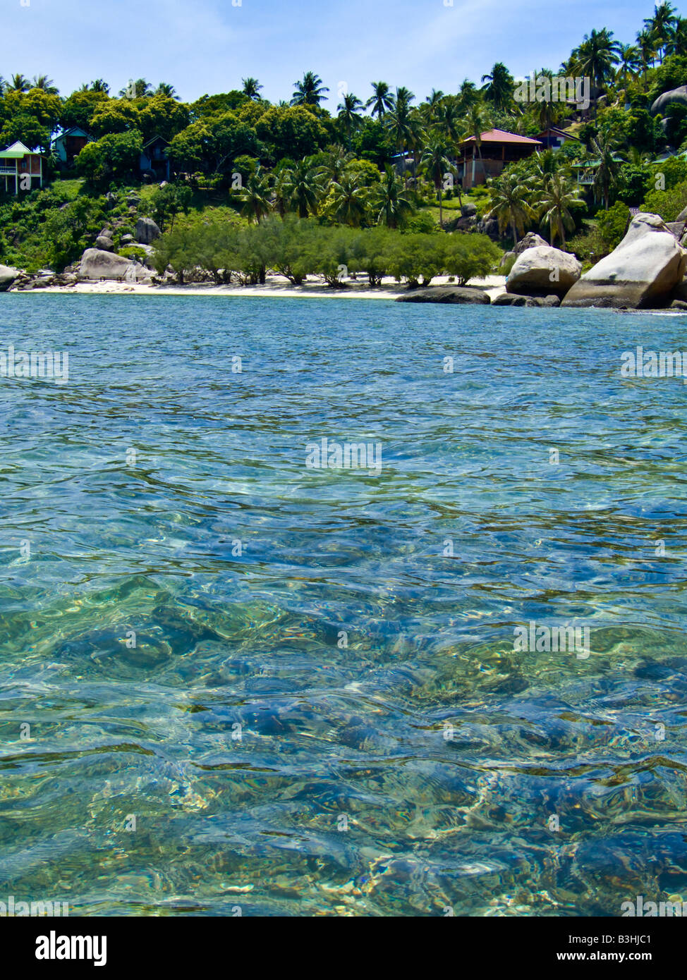 Korallen im Meer am Chalok Baan Kao Bay Koh Tao Thailand JPH0086 Stockfoto