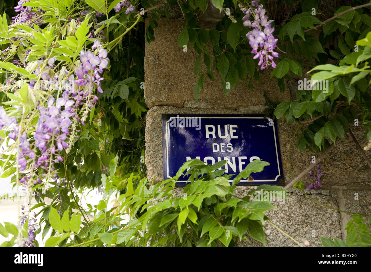 Straße Plaque in Frankreich mit Glyzinien bedeckt Stockfoto