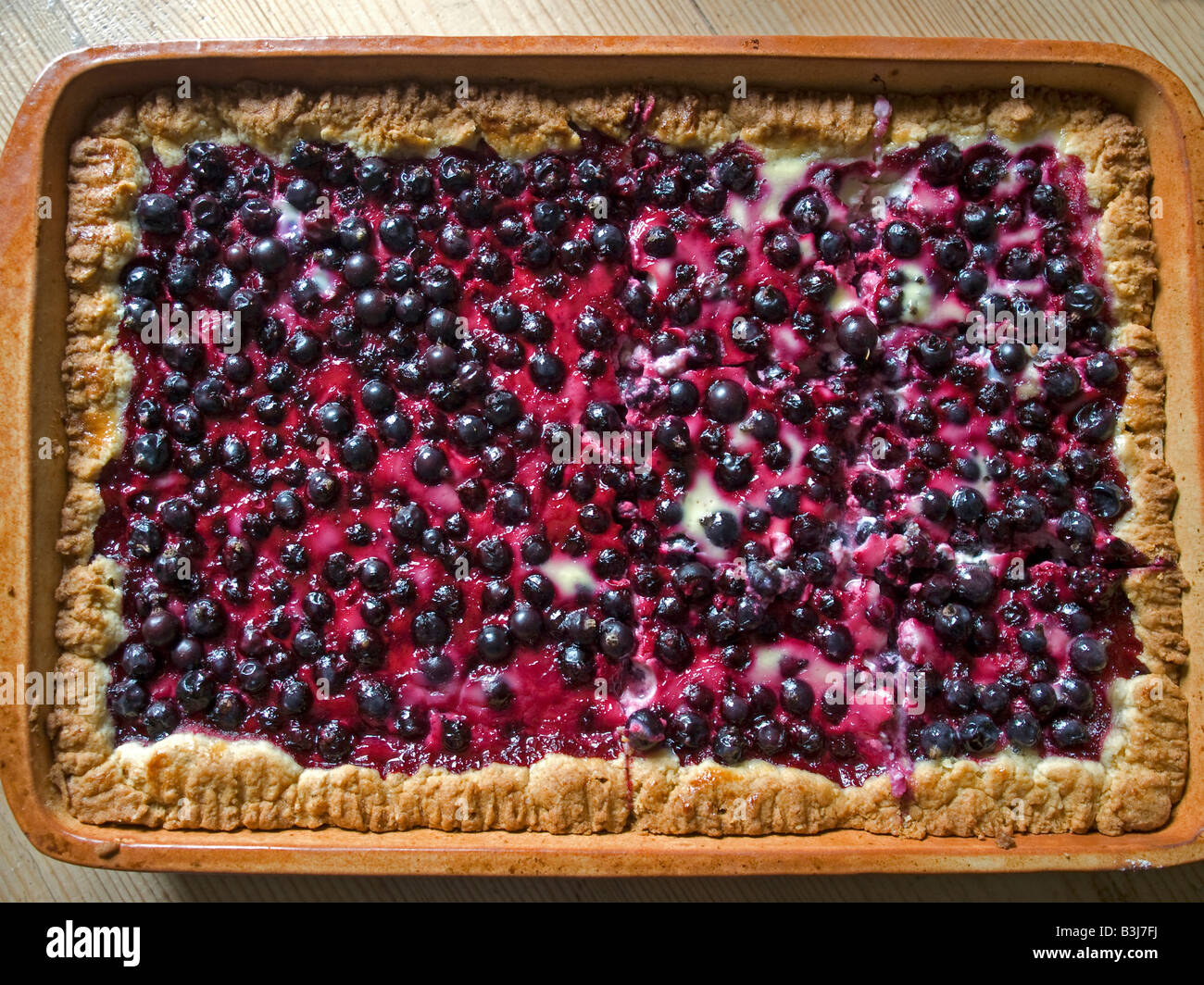 hausgemachte Kuchen mit schwarzen Johannisbeeren Beeren in Kasserolle Stockfoto