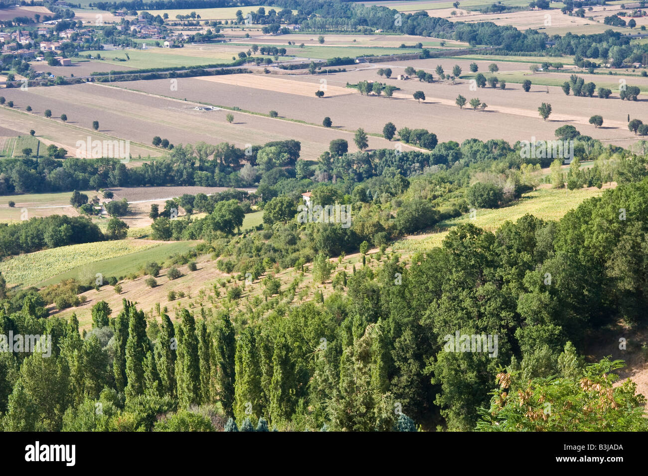 Felder, Land Hügel Mais Weizen heißen Sommer Sommer warme trockene Klima Natur Landschaft Panorama Viewgreen hohe Grasbaum Italien Stockfoto