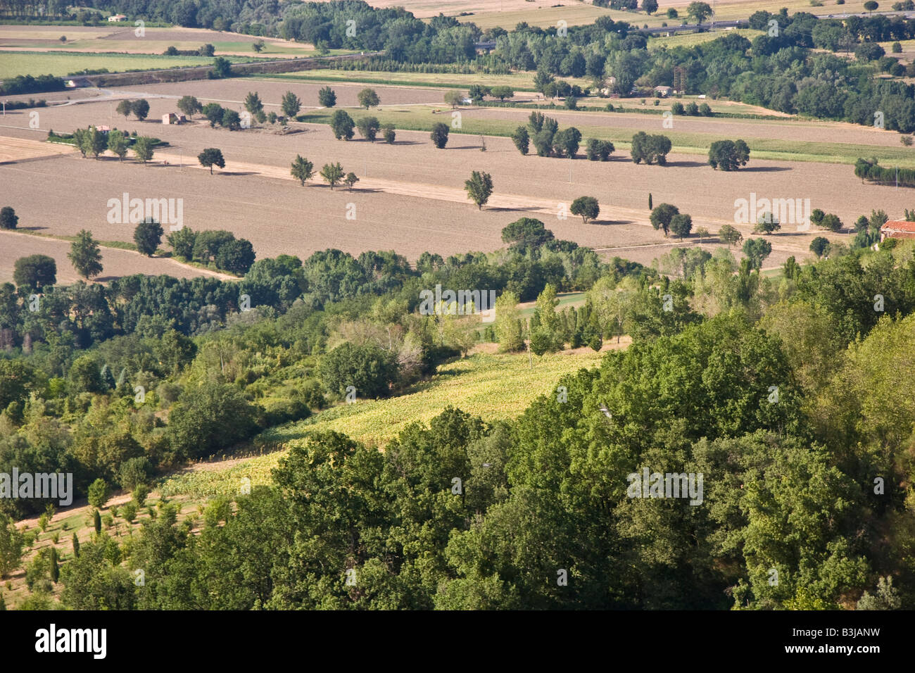 Todi Felder Land Hügel Mais Weizen heißen Sommer Sommer warme trockene Klima Natur Landschaft Panorama Viewgreen hohe Grasbaum Stockfoto
