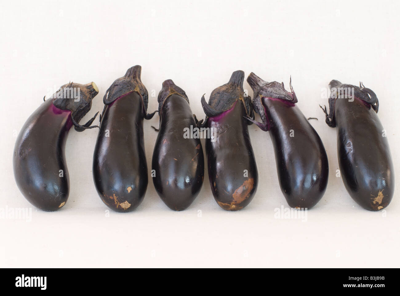 5 organische japanische Aubergine auf einem weißen Hintergrund. Diese Tamagogata Aubergine sind weit verbreitet in der japanischen Küche verwendet. Stockfoto