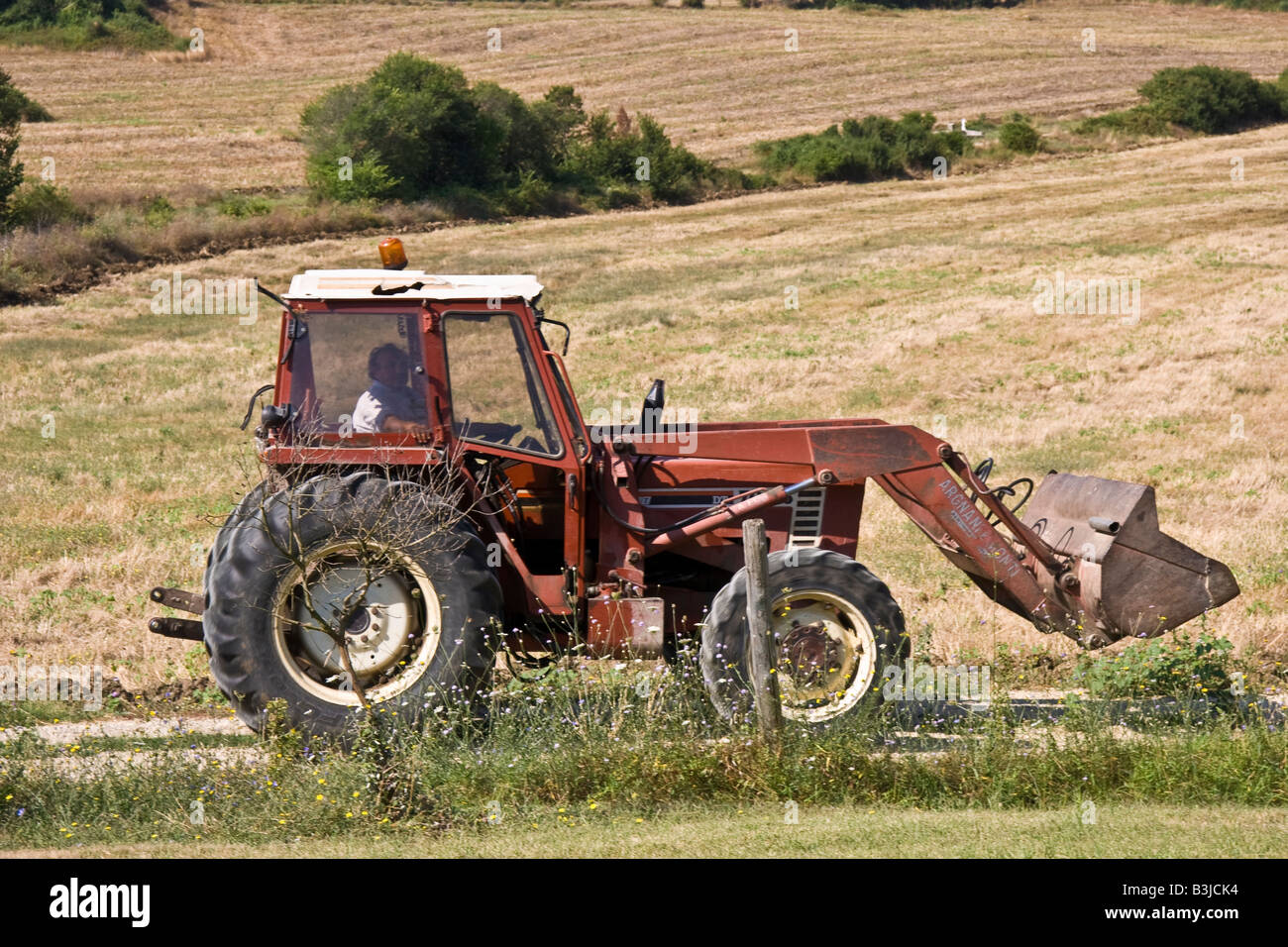 Felder, Mais Land Hügeln Weizen heißen Sommer Sommer warme trockene Klima Mann Landsmann Landwirt Landarbeiter, Knecht, Hand, Stockfoto