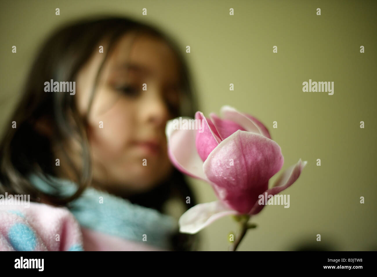 Kind hält Magnolie Blume Stockfoto