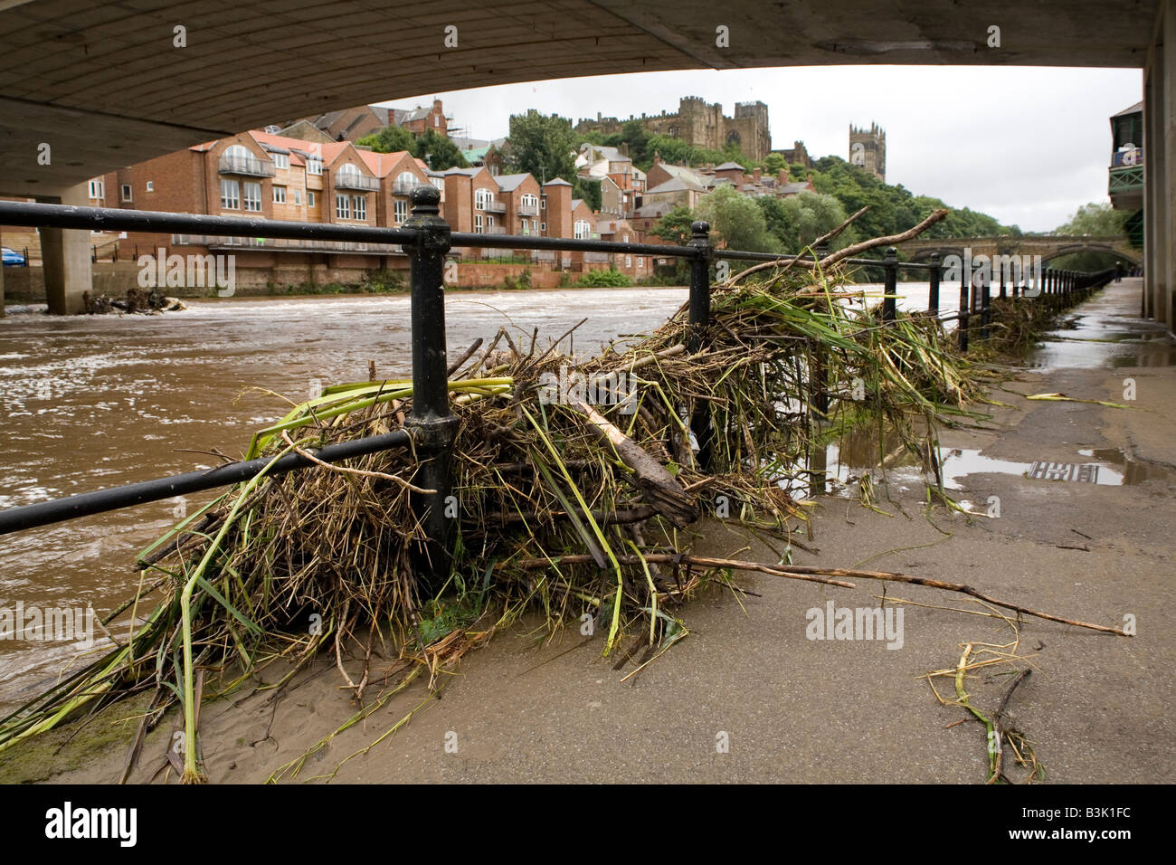 Das Flussufer ist übersät mit Abfällen und Rückständen Wasser vom Fluss Wear in Durham City, England. Stockfoto