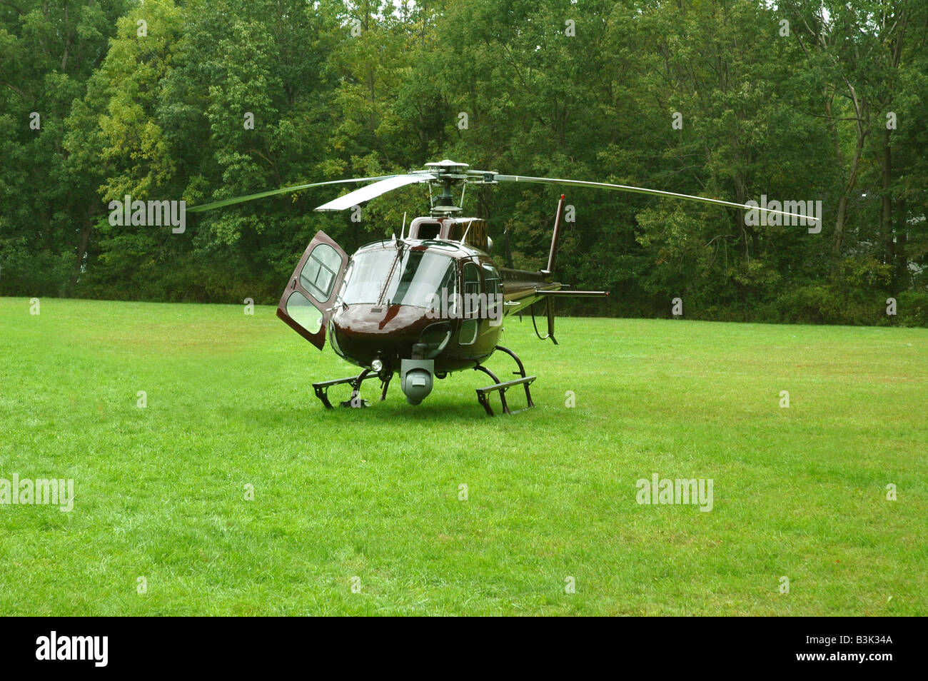 Braune Hubschrauber sitzen in einem Feld Stockfoto