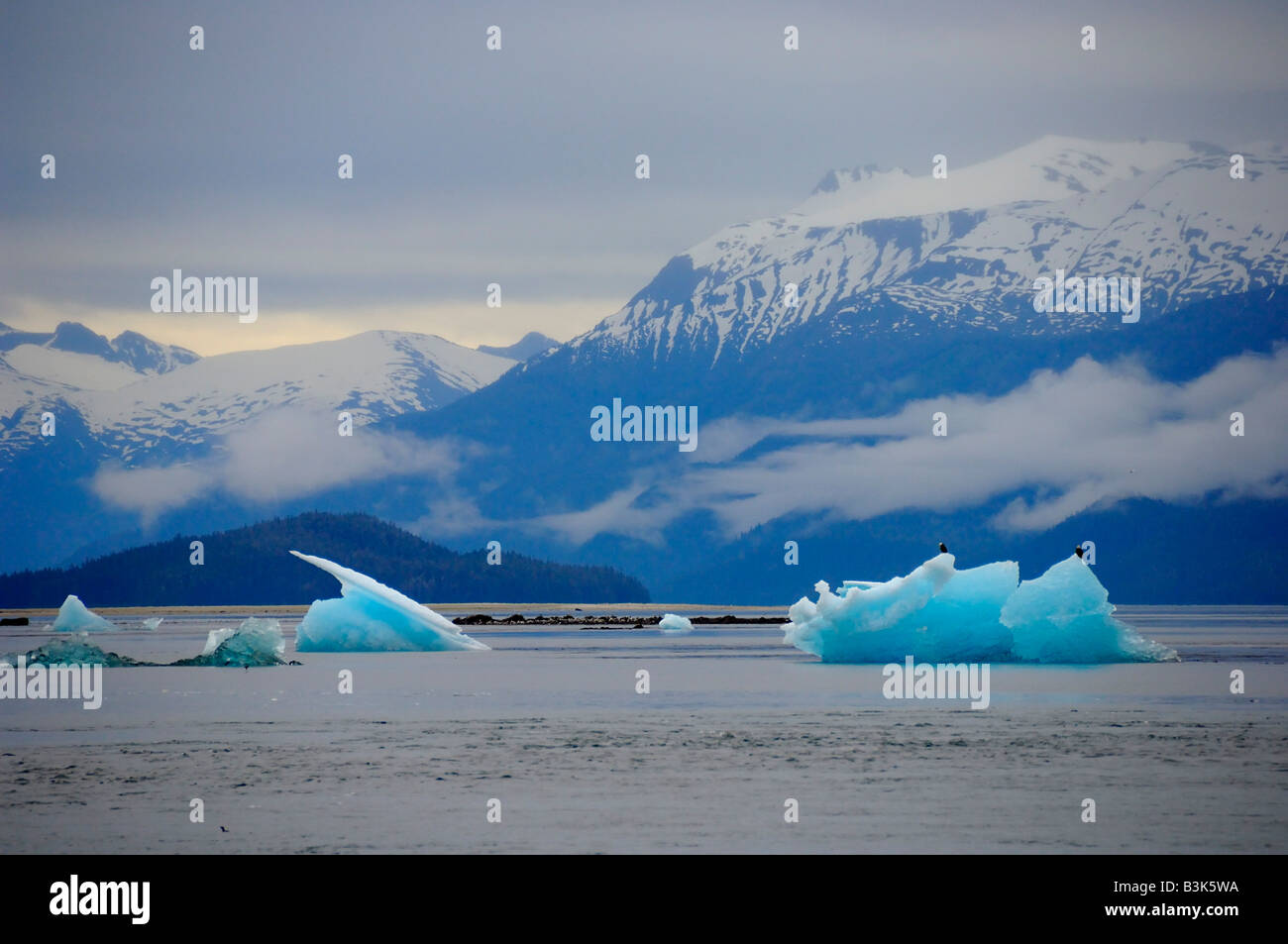 Eisberg Tracy Arm Alaska Stockfoto