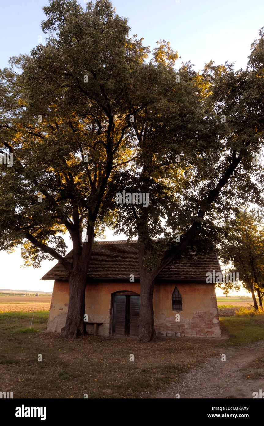 Weinkeller, "Drücken-Haus" oder "Presshaus" in Österreich Stockfoto