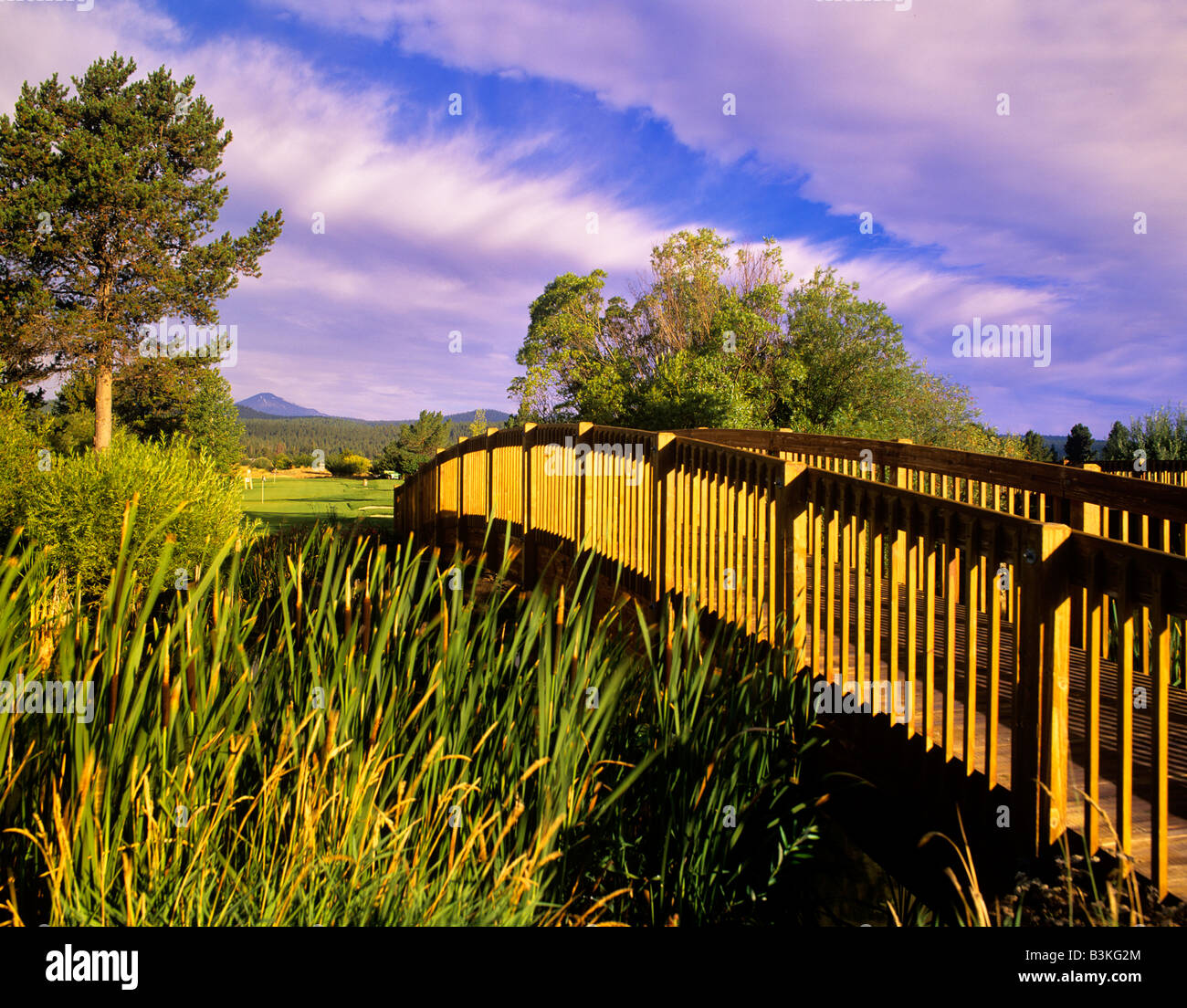 Steg mit Wolken an Sunriver Resort Oregon Stockfoto