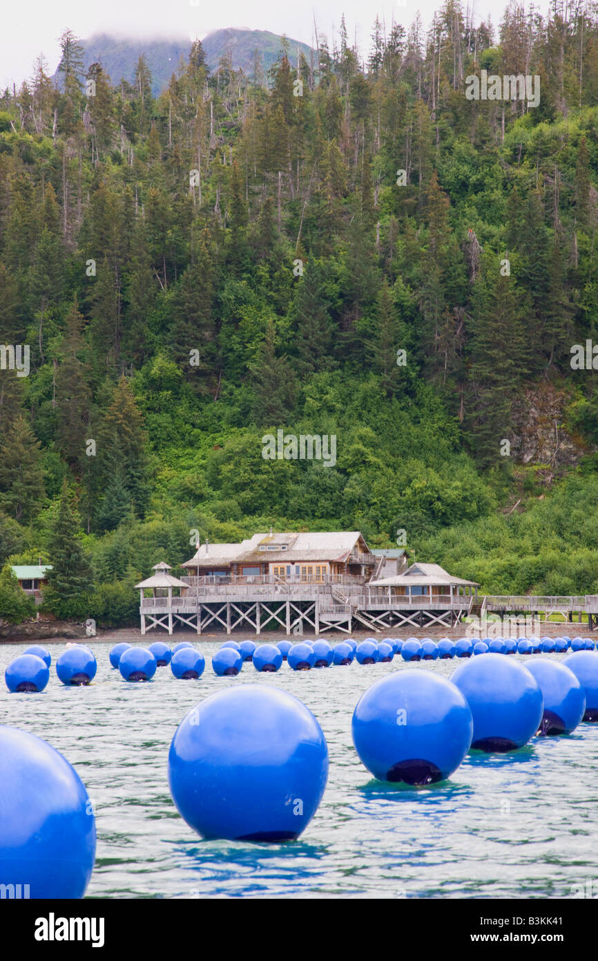 Austernfarm Halibut Cove Kachemak Bay in der Nähe von Homer Alaska Stockfoto