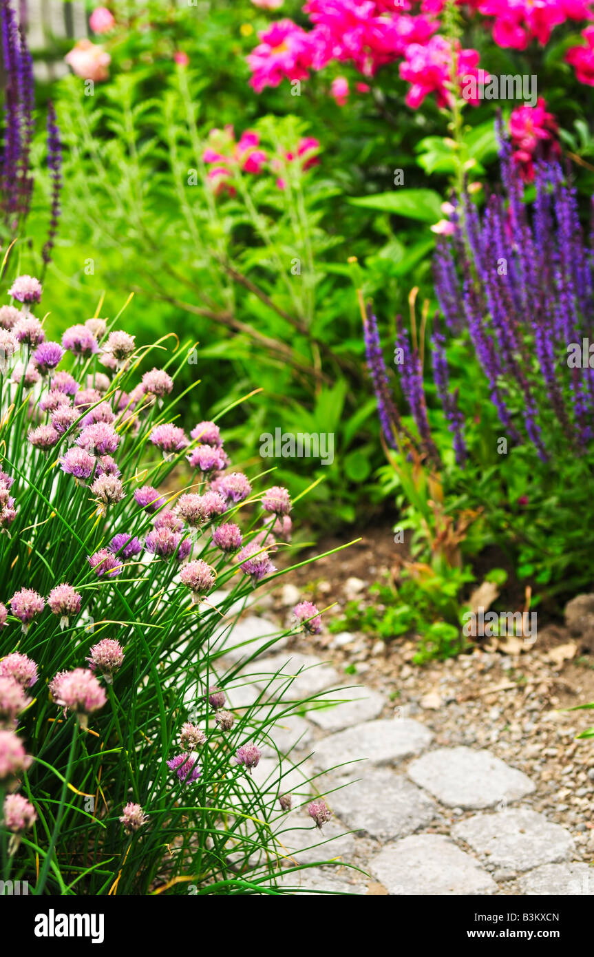 Üppig blühenden Sommergarten mit gepflasterten Weg Stockfoto