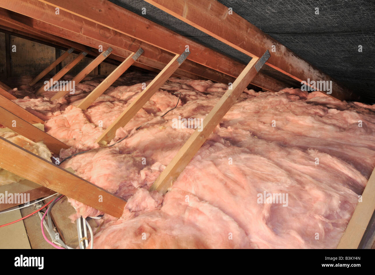 Nahaufnahme Haus Dachboden Loft Raum Haus Holz niedrigen Dach Pitch Traversen & energiesparende Glasfaserisolierung zwischen und über der Decke Balken England Großbritannien Stockfoto