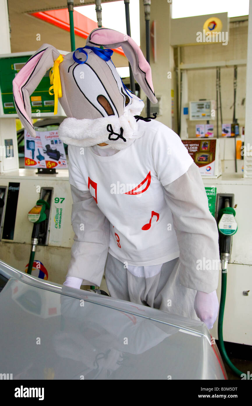 Tierische Maskottchen Bugs Bunny Hase Kostüm, Frau (HERR) tanken Auto mit  Diesel, Fancy Dress an der Tankstelle, Cumbria, England Stockfotografie -  Alamy