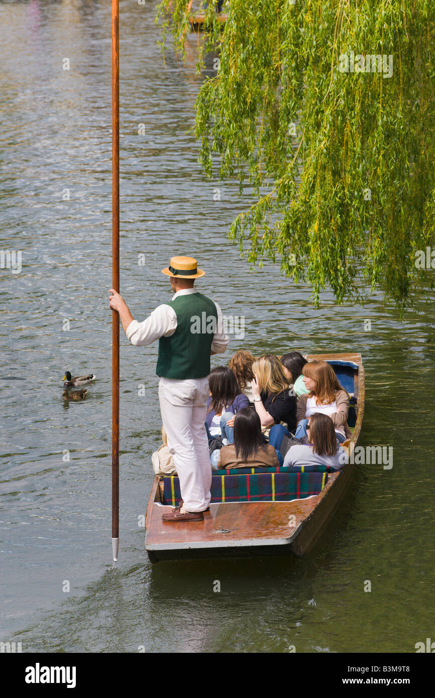 Stechkahn fahren am Fluss Cam, Cambridge, England Stockfoto