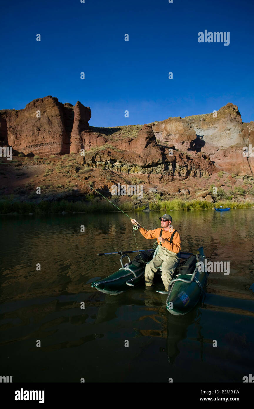 Fliegenfischen Sie am unteren Owyhee River ein blaues Band Bachforelle Fischerei im südöstlichen Oregon Stockfoto