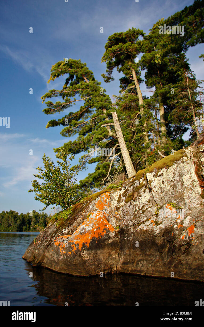 Felsige Ufer mit orangefarbenen Flechten, See Kabetogama, Voyageurs Natioanal Park Stockfoto