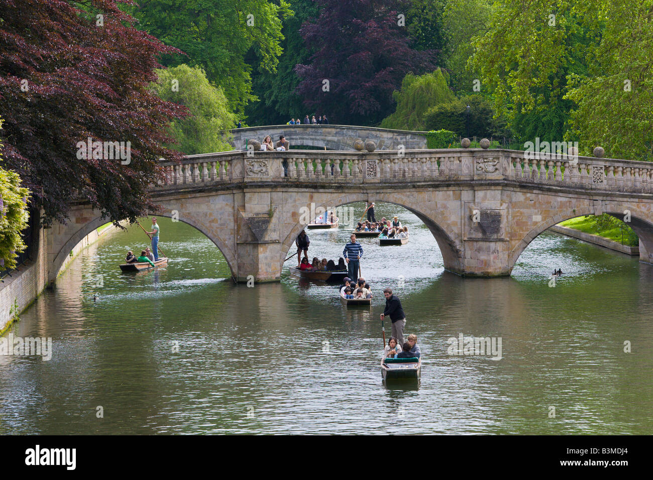 Stechkahn fahren am Fluss Cam, Könige Bridge, Cambridge, England