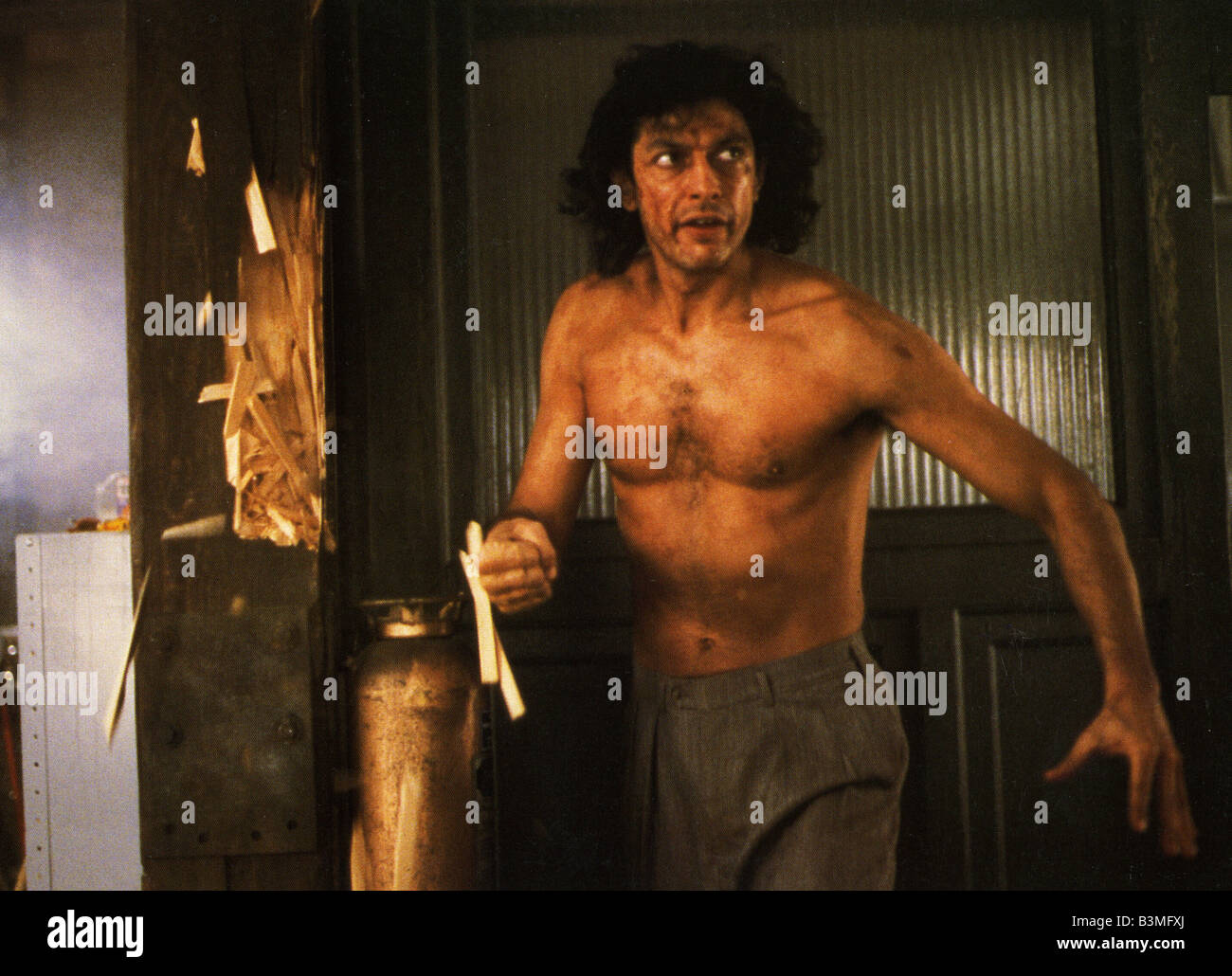 The fly 1986 jeff goldblum Fotos und Bildmaterial in hoher Auflösung Alamy