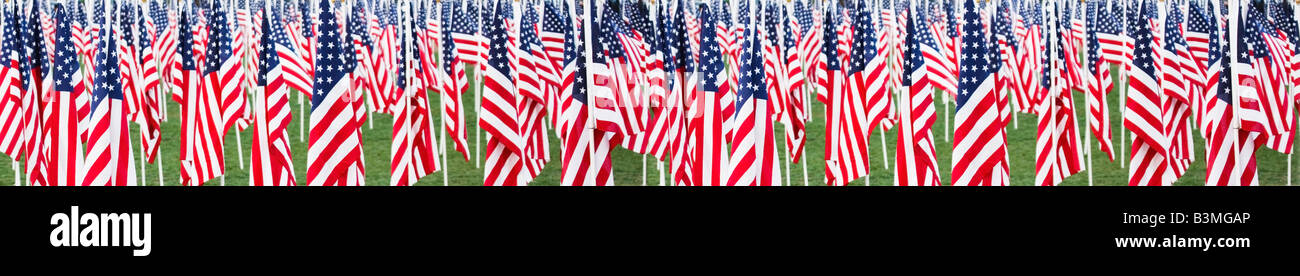 Stars And Stripes Flaggen in einem Panoramablick Ideal für ein Banner oder einen Rahmen Stockfoto