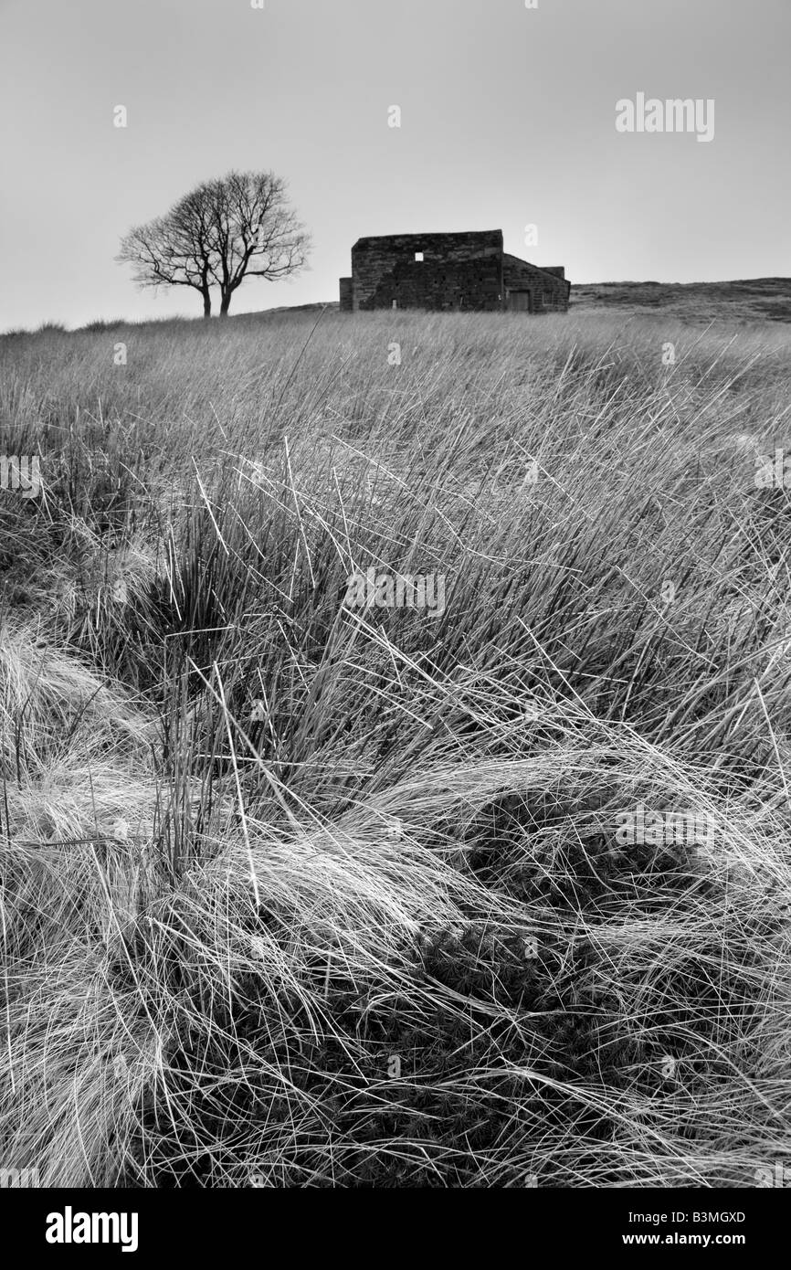 Top Withens, in der Nähe von Haworth.  Top Withens wird gedacht, um Emily Brontes Wuthering Heights inspiriert haben Stockfoto