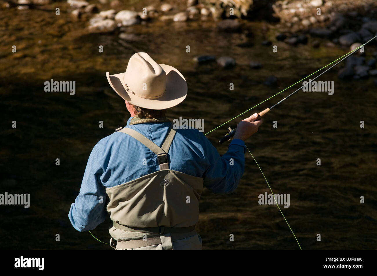 Ortsansässiger Fliege Fischen für Forelle auf Gore Creek, Vail, Colorado im August. Stockfoto