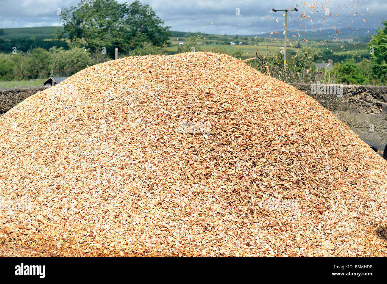 Haufen von Hackschnitzel Stockfoto