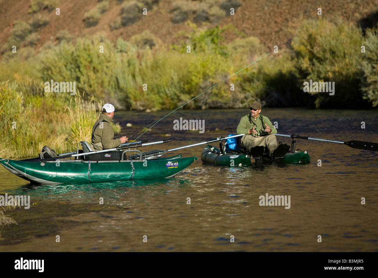 Fliegenfischen Sie am unteren Owyhee River ein blaues Band Bachforelle Fischerei im südöstlichen Oregon Stockfoto