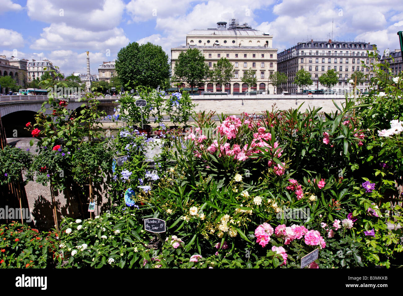 Frankreich-Paris-Blumenmarkt am Quai Aux Fleurs in Paris Stockfoto