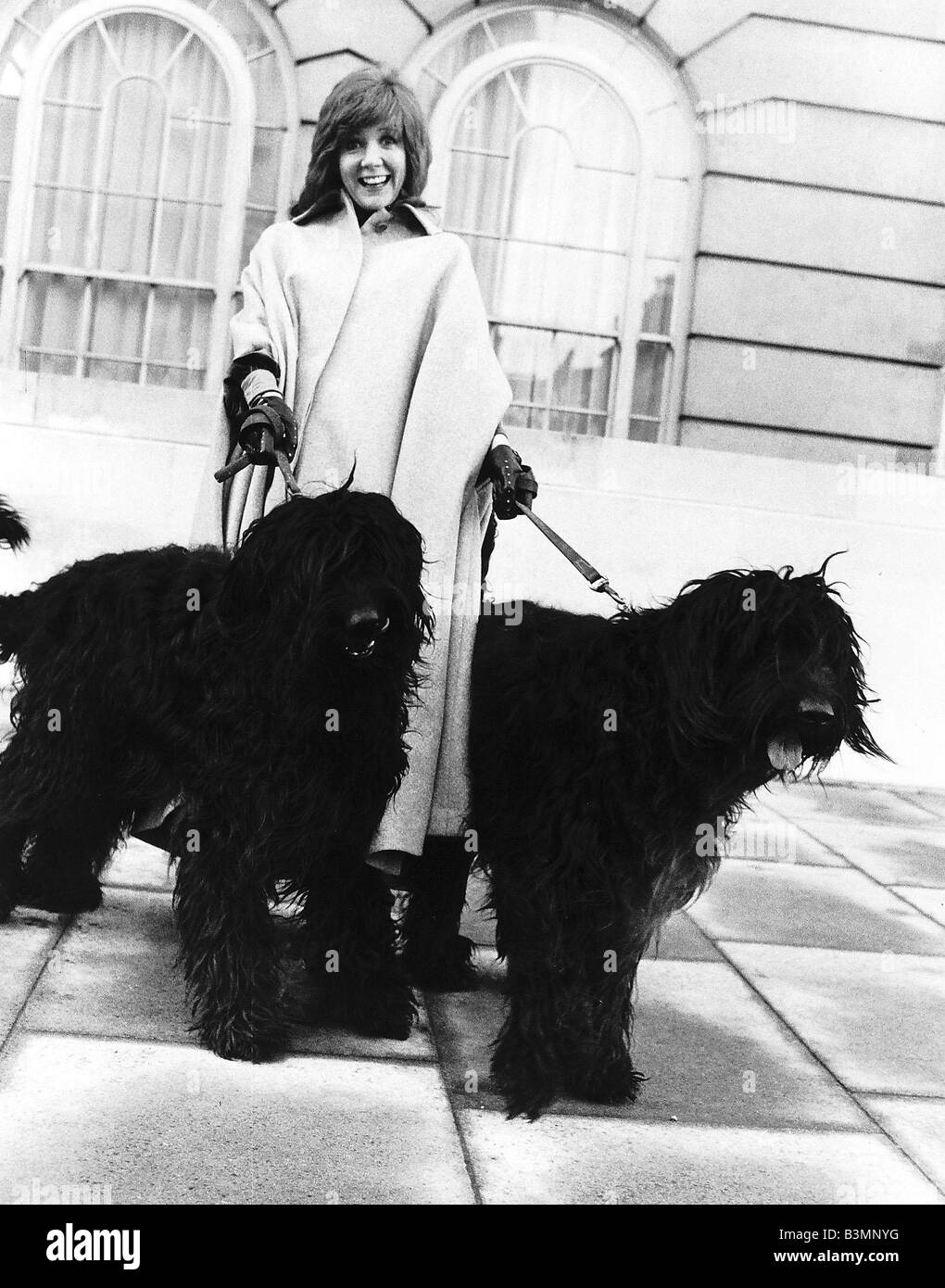 Cilla Black Sängerin TV Moderatorin mit zwei Hunde MSI Stockfoto