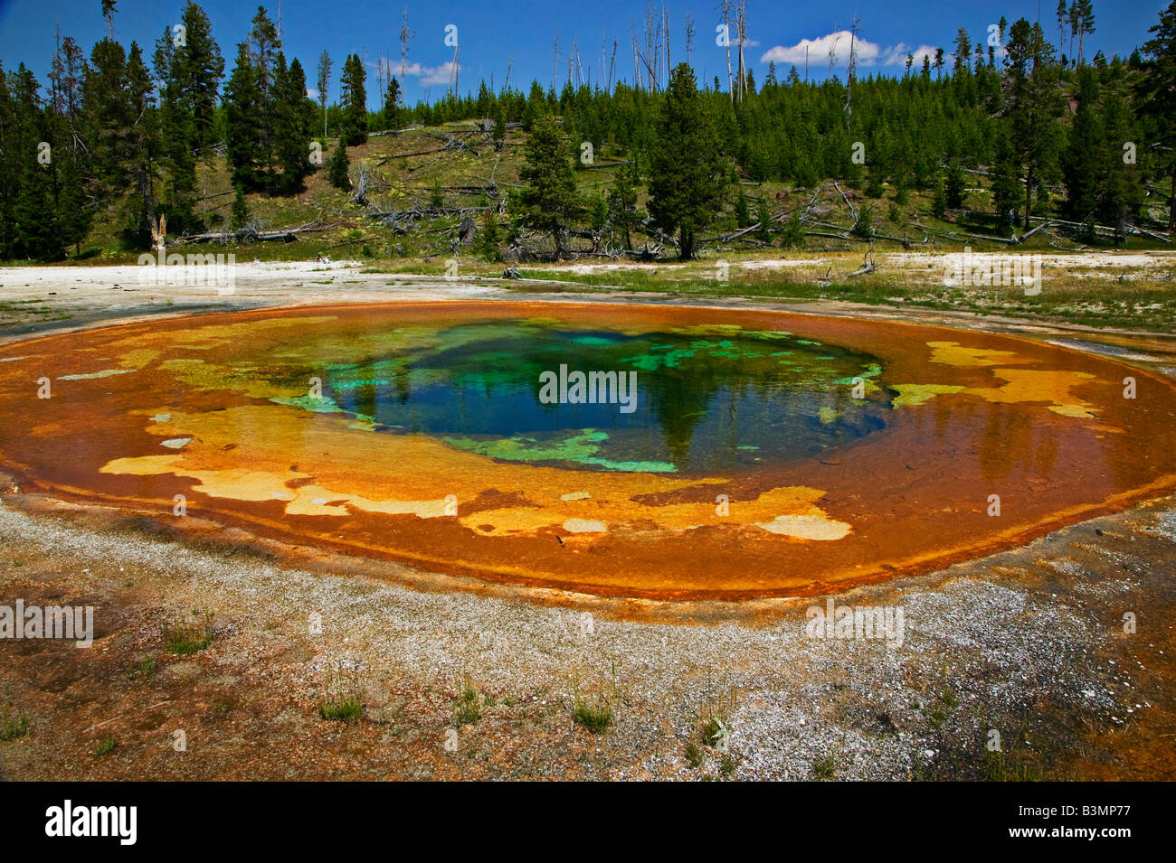 Hot Springs Yellowstone Nationalpark Stockfoto