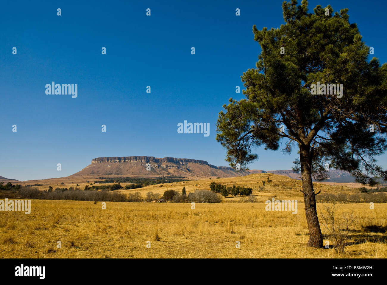 Die Drakensberge, KwaZulu-Natal, Südafrika Stockfoto