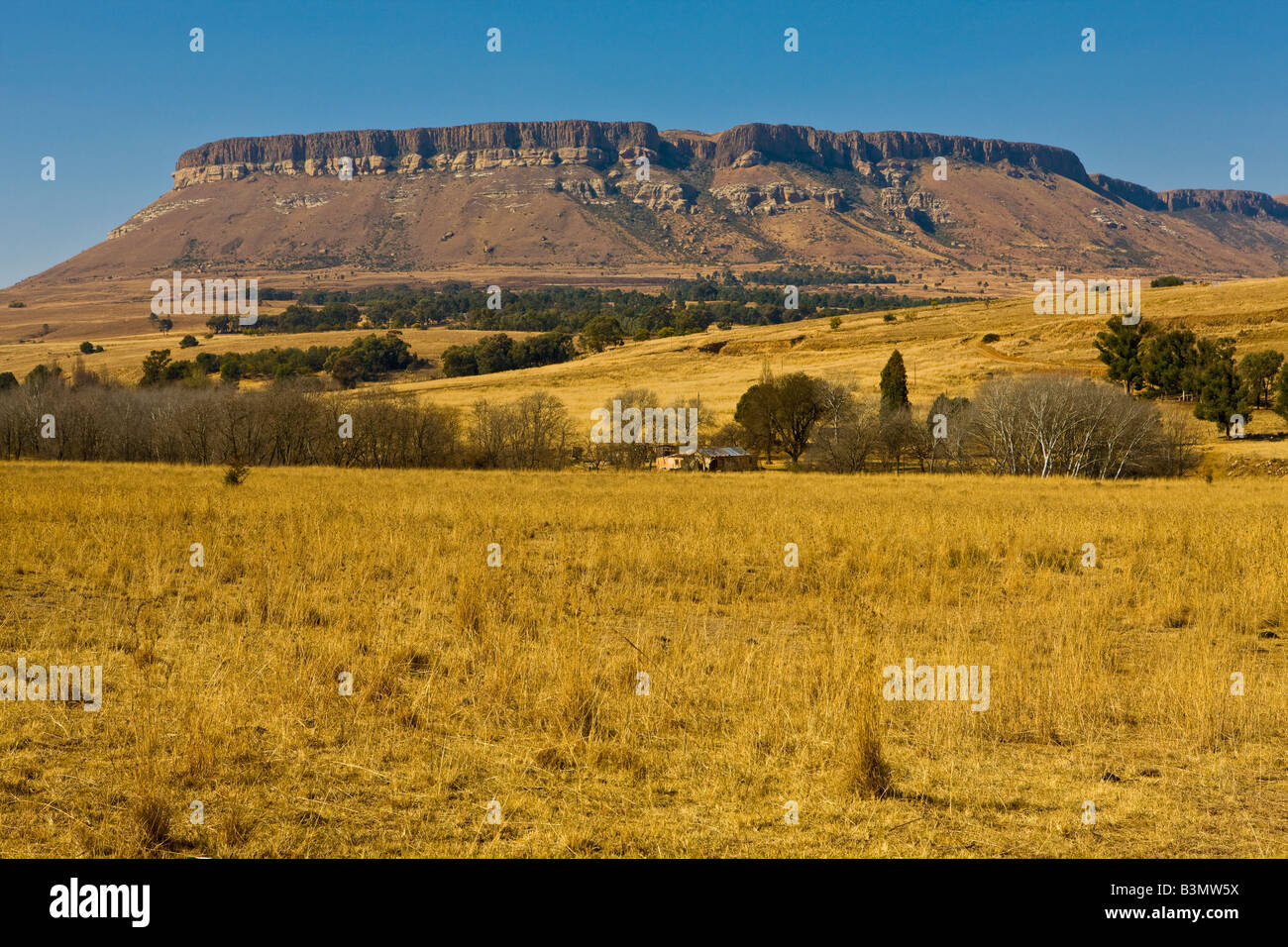 Die Drakensberge, KwaZulu-Natal, Südafrika Stockfoto